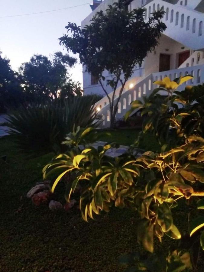 Thea Apartment Agia Marina 外观 照片