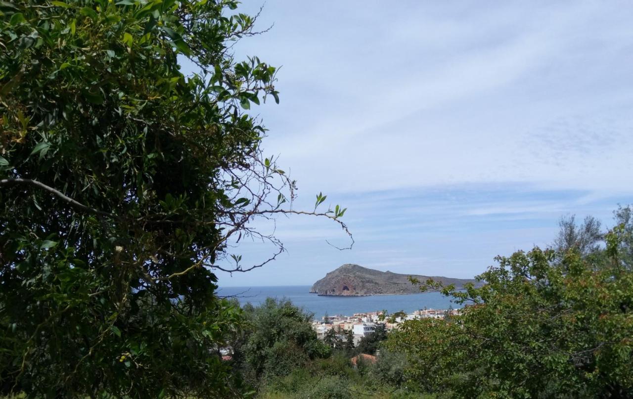 Thea Apartment Agia Marina 外观 照片