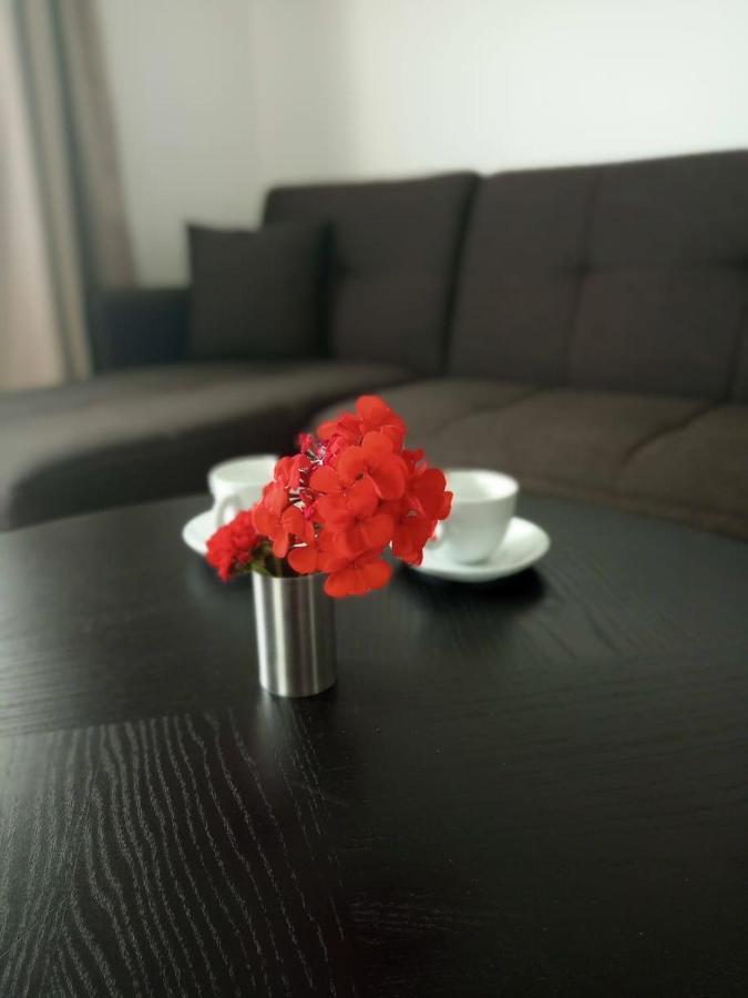Thea Apartment Agia Marina 外观 照片