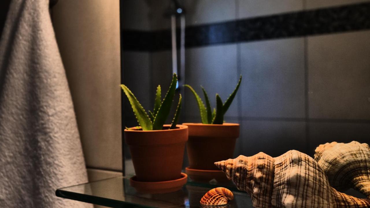 Thea Apartment Agia Marina 外观 照片